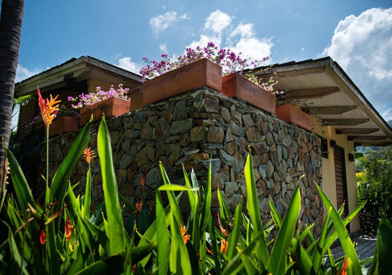 Hotel Gardenia Springs Buritaca Zewnętrze zdjęcie